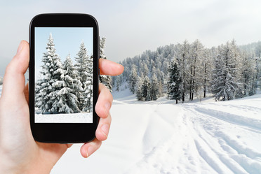 Similar image 7886775