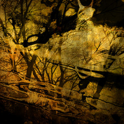 Similar image 7887040