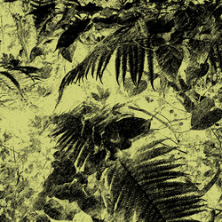 Similar image 7887043