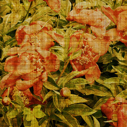 Similar image 7887078