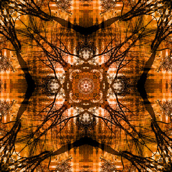 Similar image 7887093