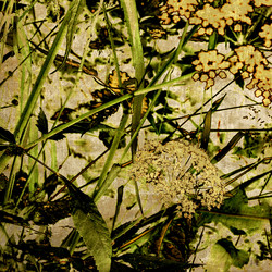 Similar image 7887561