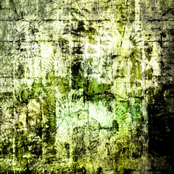 Similar image 7888250