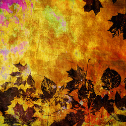 Similar image 7888268