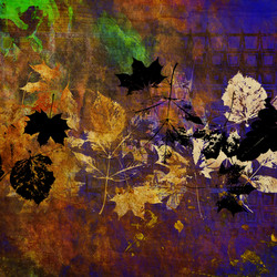 Similar image 7888275