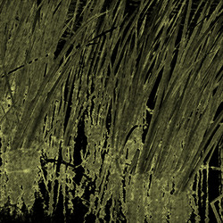 Similar image 7888309