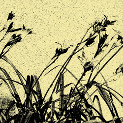 Similar image 7888312