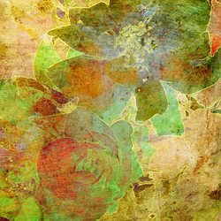 Similar image 7888315