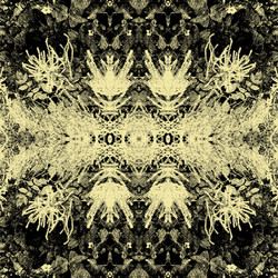 Similar image 7888322