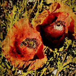 Similar image 7888349