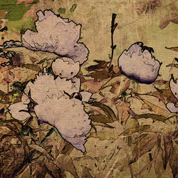 Similar image 7888351