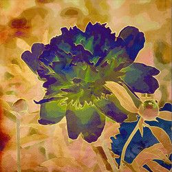 Similar image 7888354