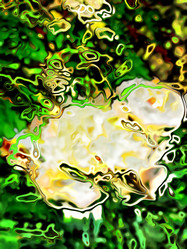 Similar image 7888358