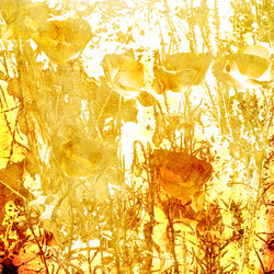 Similar image 7888373