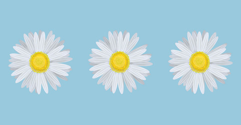 Similar image 7888407