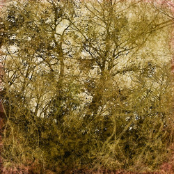 Similar image 7888757