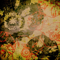 Similar image 7888794