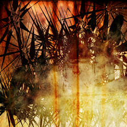 Similar image 7888819