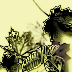 Similar image 7888853