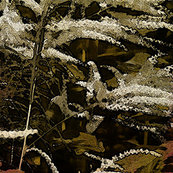 Similar image 7888860