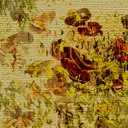 Similar image 7888862