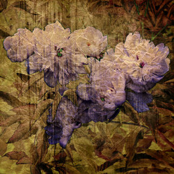 Similar image 7888865