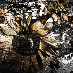 Similar image 7888884