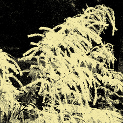 Similar image 7888887