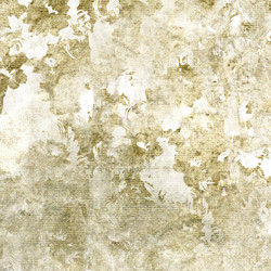 Similar image 7888903