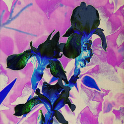 Similar image 7888906