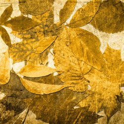 Similar image 7888924