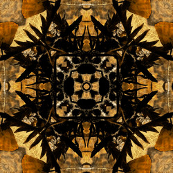 Similar image 7888951