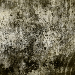 Similar image 7888983