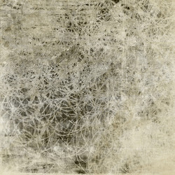 Similar image 7888986