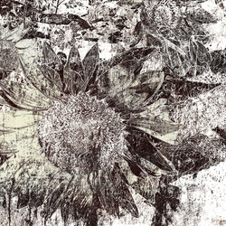 Similar image 7888989