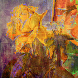 Similar image 7889005