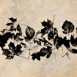 Similar image 7889009