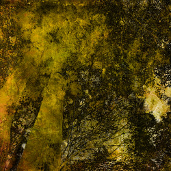 Similar image 7889016