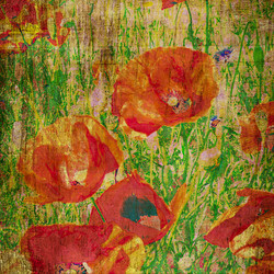 Similar image 7889037