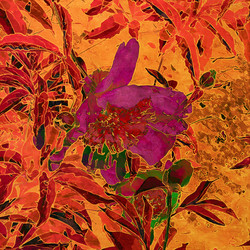 Similar image 7889066