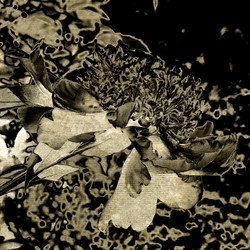 Similar image 7889085