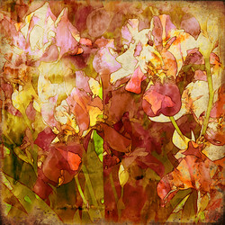 Similar image 7889089