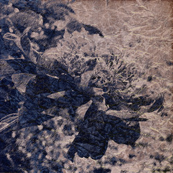 Similar image 7889090