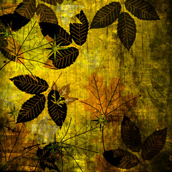 Similar image 7889093