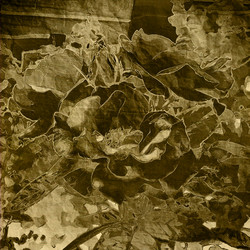 Similar image 7889113