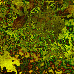 Similar image 7889140