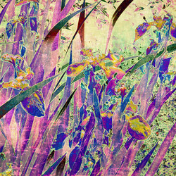 Similar image 7889168