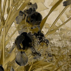 Similar image 7889173