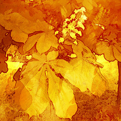 Similar image 7889176