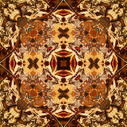 Similar image 7889184